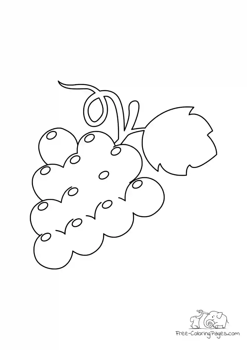 Ausmalbild Grape