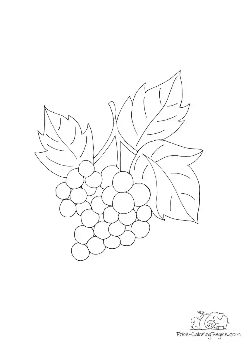 Coloring Page Grapes