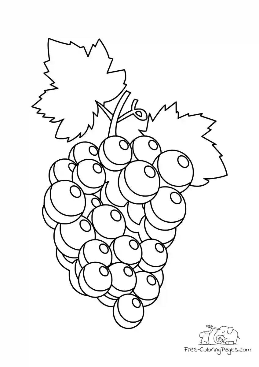 Ausmalbild Wine Grapes